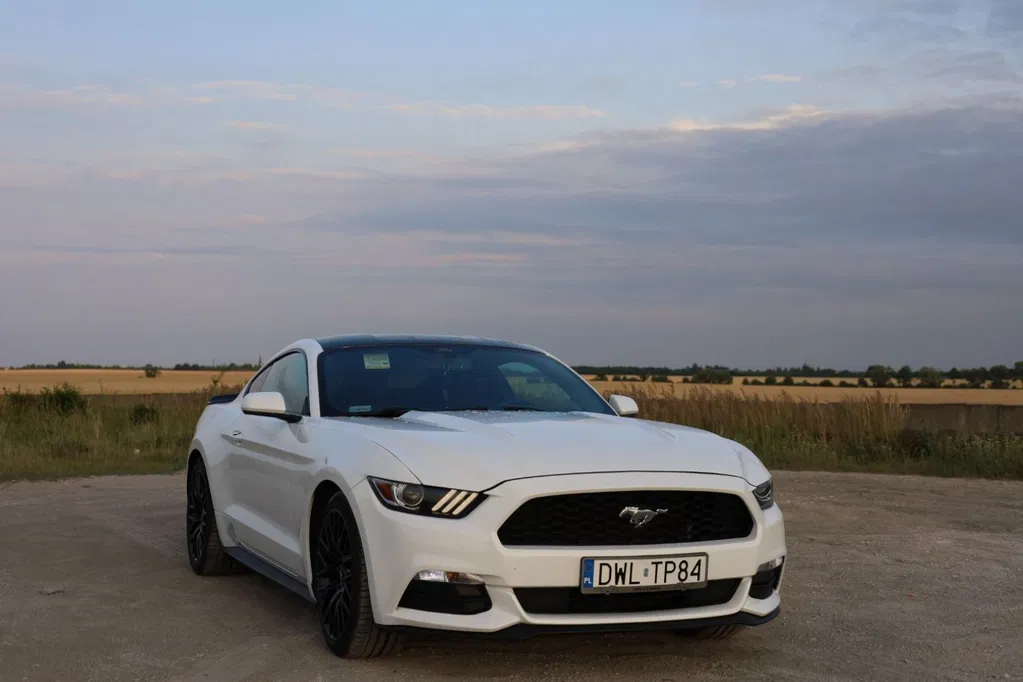 Zdjęcie: 2016 Ford Mustang