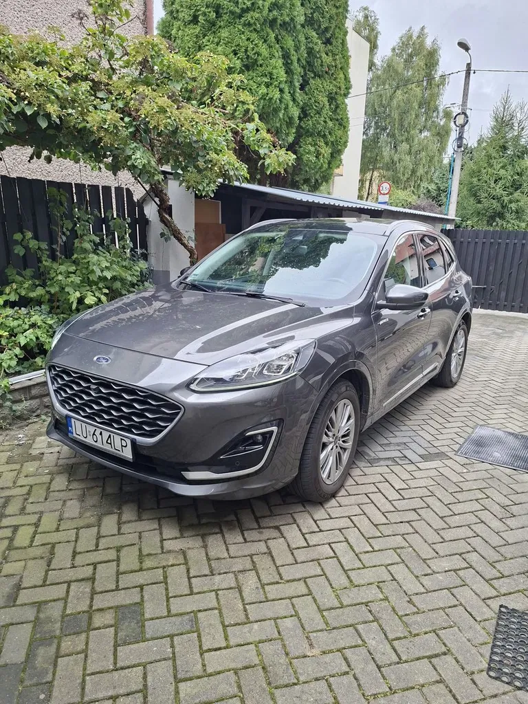 Zdjęcie: 2021 Ford Kuga