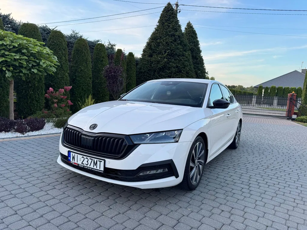 Zdjęcie: 2023 Skoda Octavia