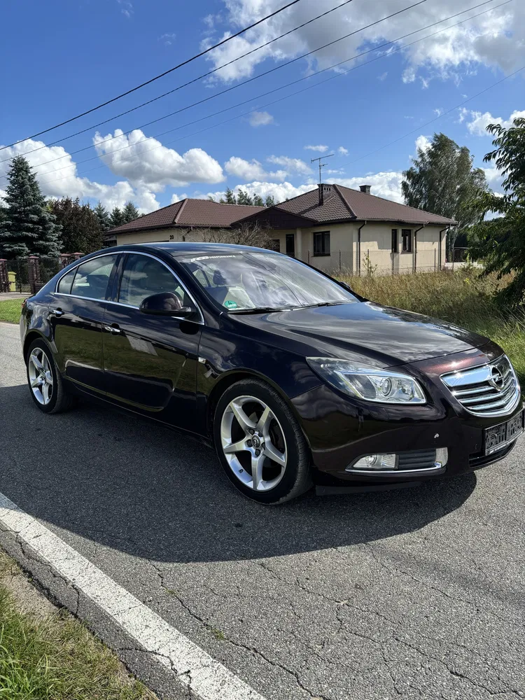 Zdjęcie: 2010 Opel Insignia