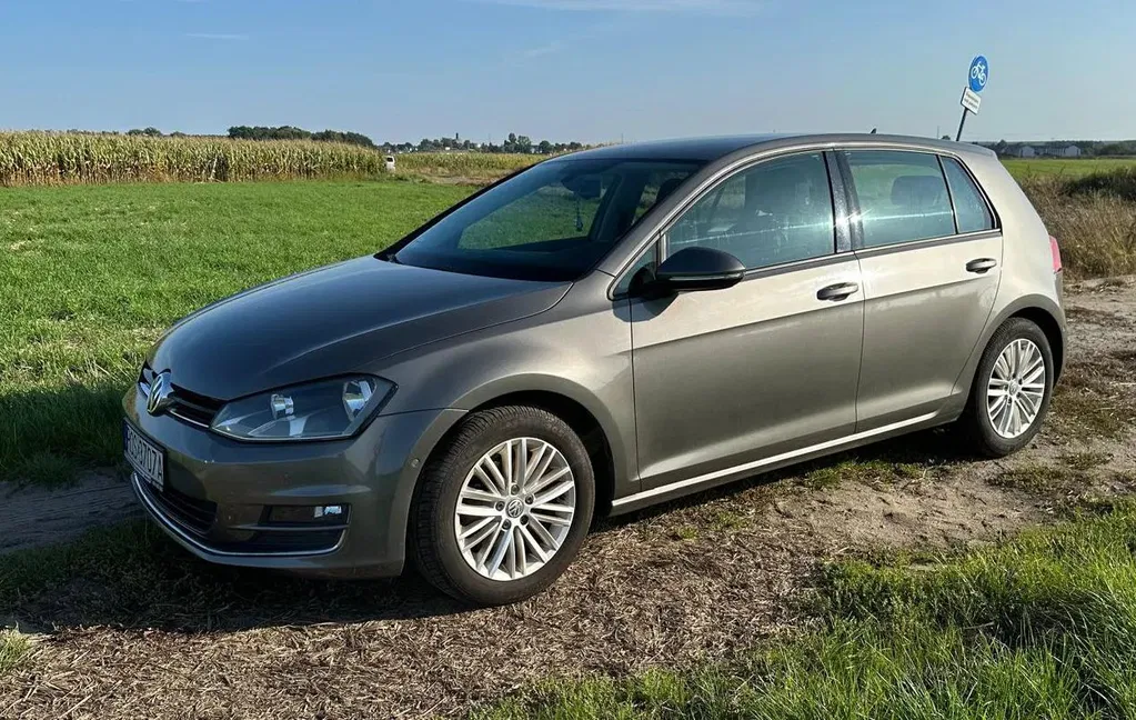 Zdjęcie: 2016 Volkswagen Golf