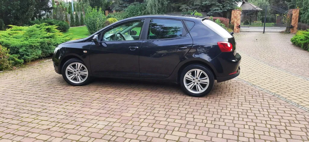 Zdjęcie: 2010 Seat Ibiza