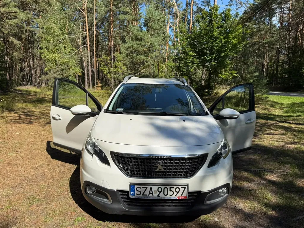 Zdjęcie: 2018 Peugeot 2008