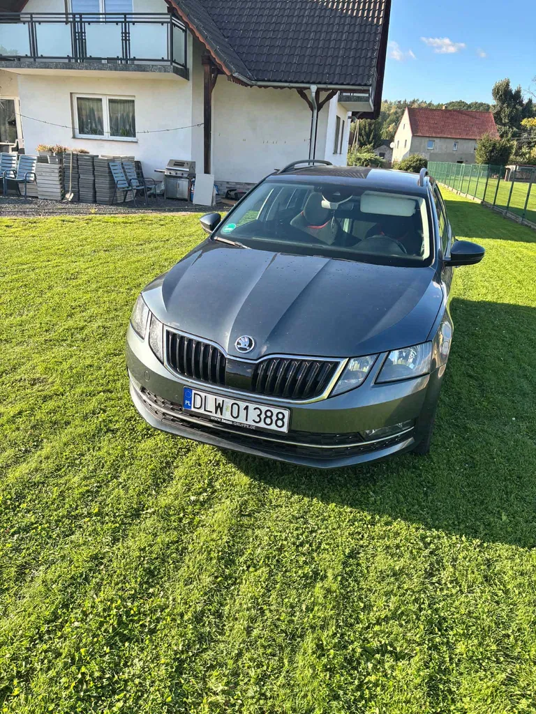 Zdjęcie: 2017 Skoda Octavia