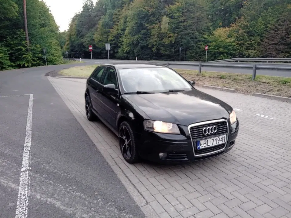 Zdjęcie: 2007 Audi A3 3-drzwiowe