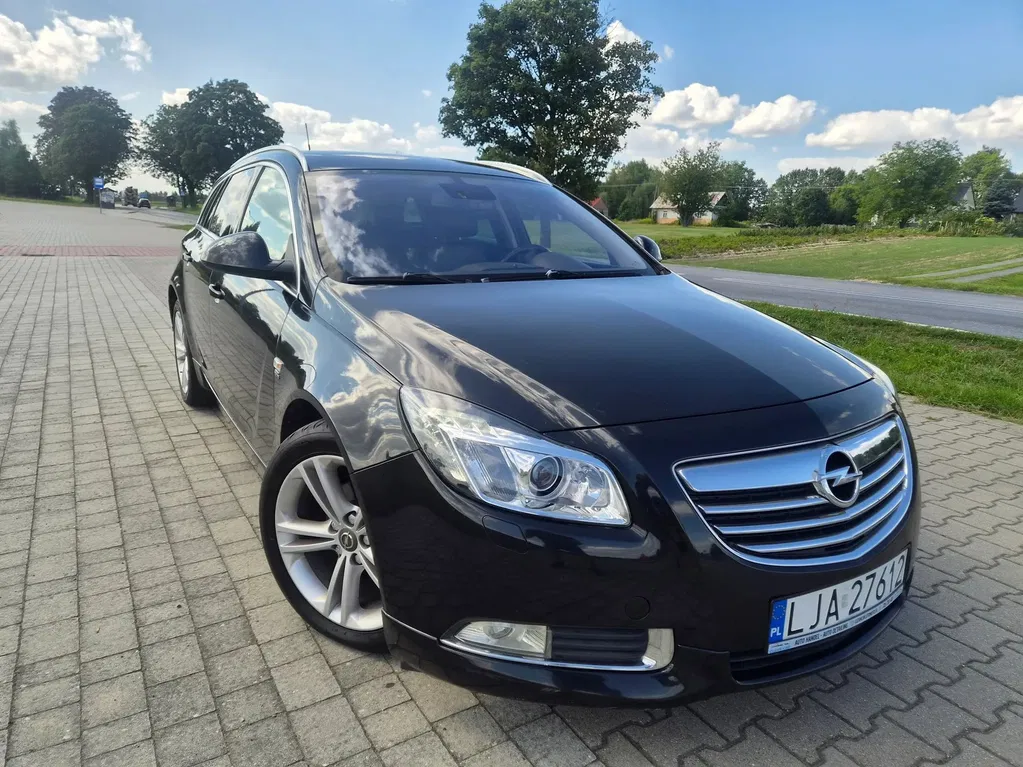 Zdjęcie: 2010 Opel Insignia