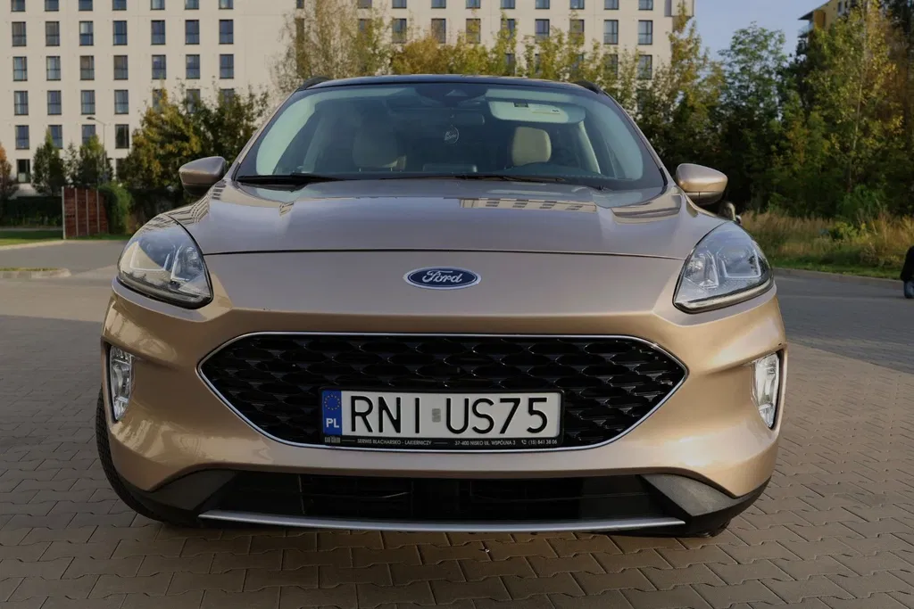 Zdjęcie: 2021 Ford Escape