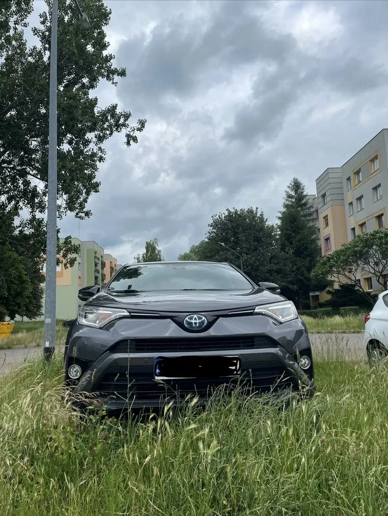 Zdjęcie: 2018 Toyota RAV-4