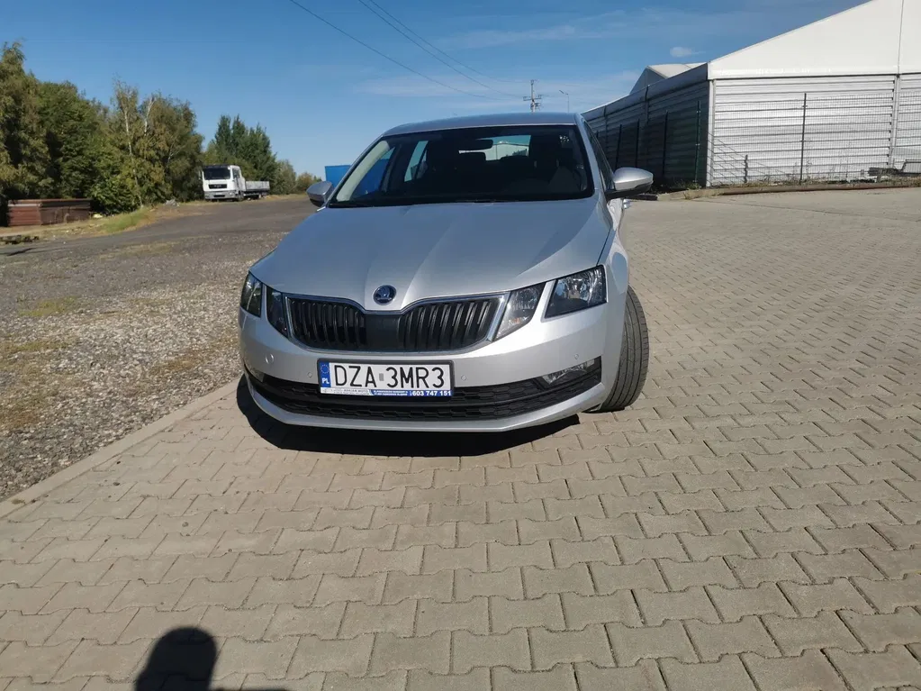 Zdjęcie: 2019 Skoda Octavia