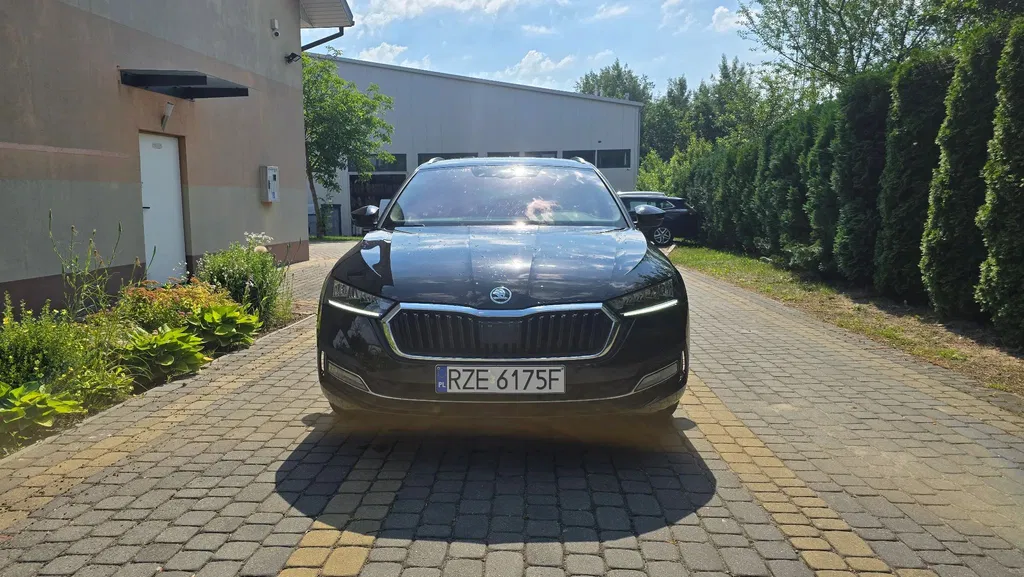 Zdjęcie: 2024 Skoda Octavia