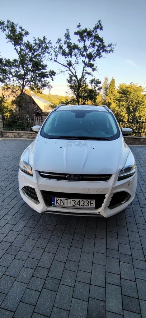 Zdjęcie: 2016 Ford Kuga