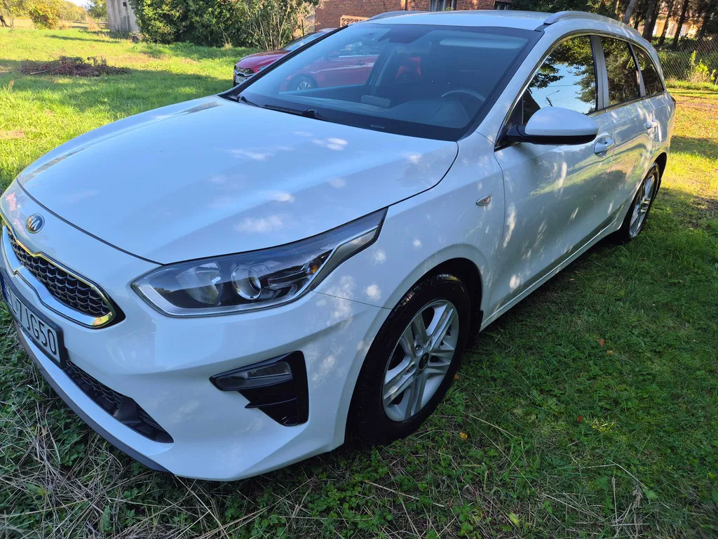 Zdjęcie: 2019 Kia Cee'd