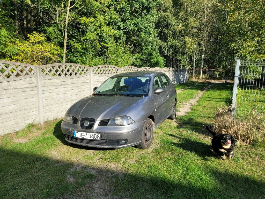 Zdjęcie: 2002 Seat Ibiza
