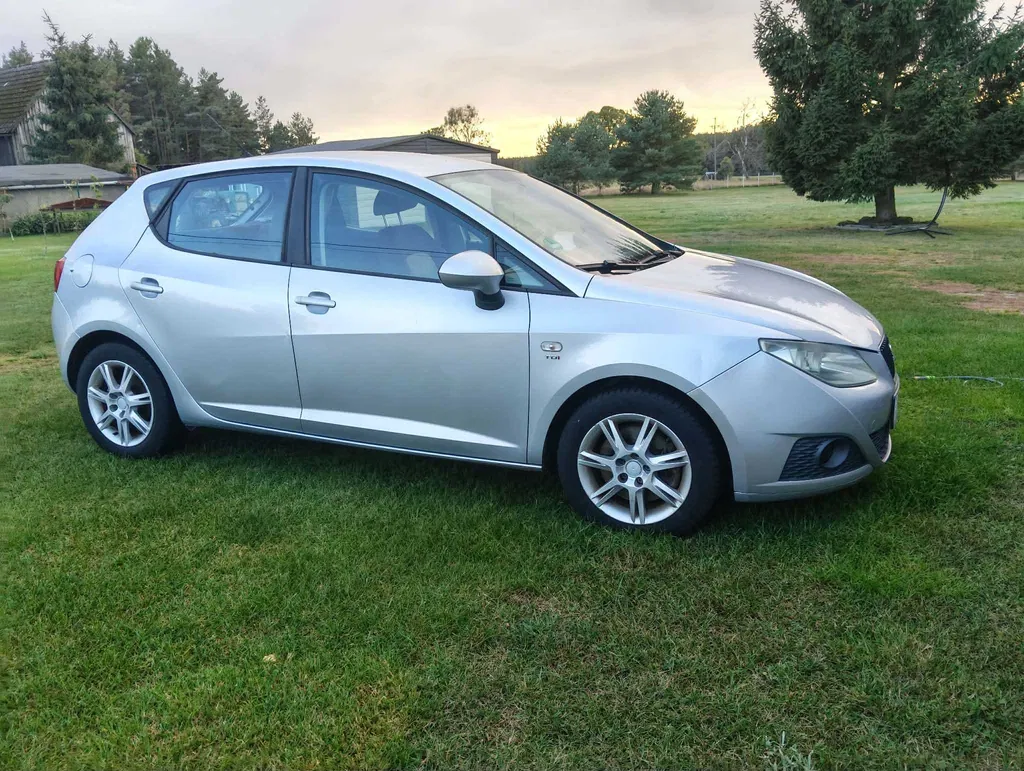 Zdjęcie: 2009 Seat Ibiza
