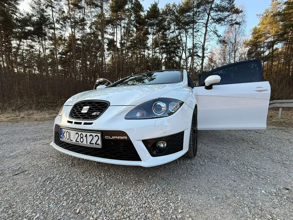 Zdjęcie: 2010 Seat Leon
