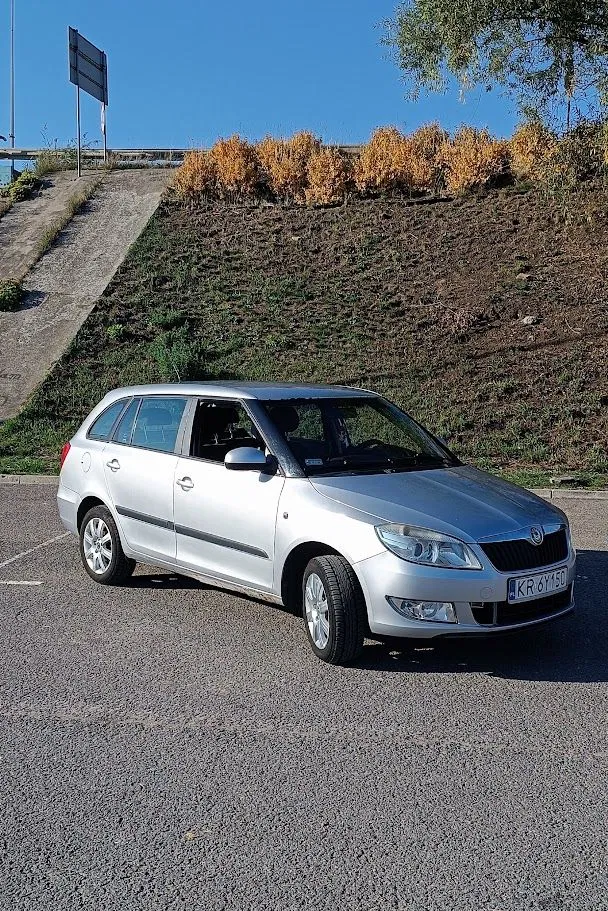 Zdjęcie: 2010 Skoda Fabia