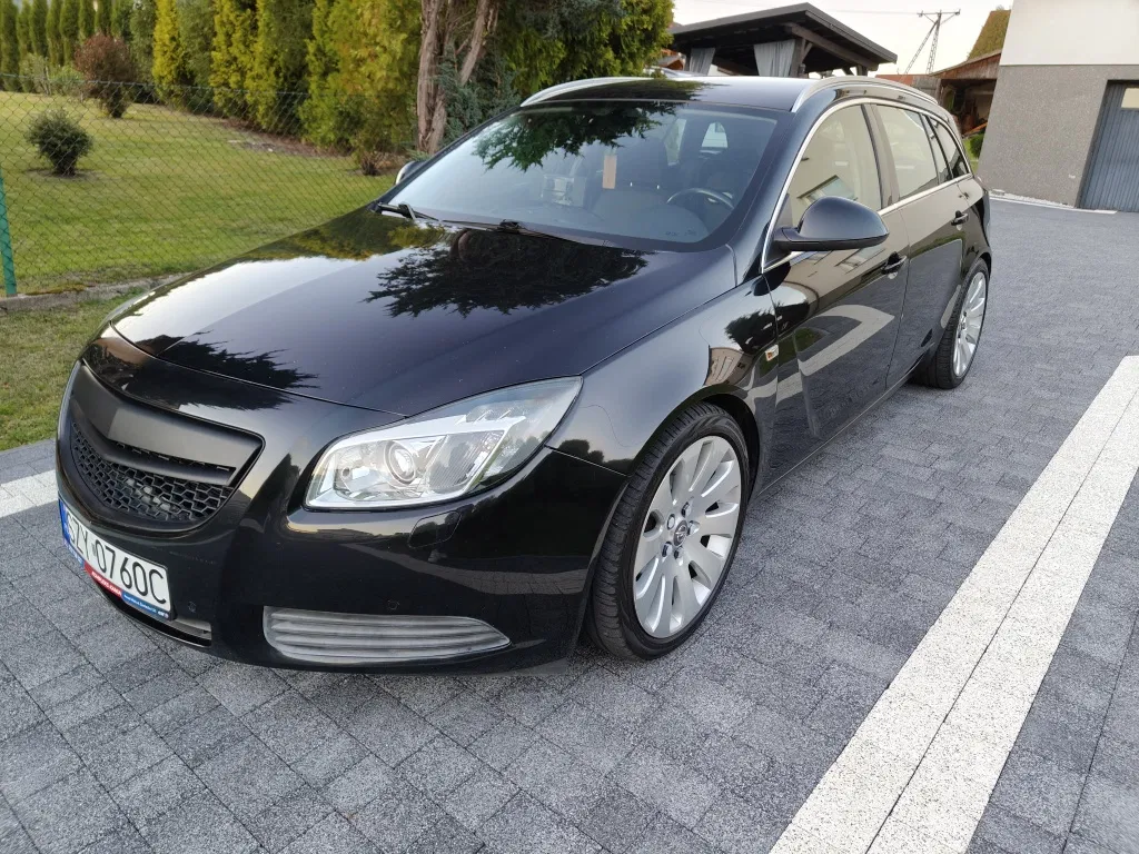 Zdjęcie: 2010 Opel Insignia