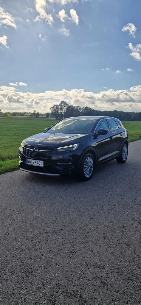 Zdjęcie: 2019 Opel Grandland X