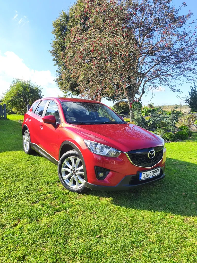 Zdjęcie: 2014 Mazda CX-5