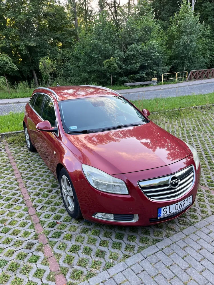 Zdjęcie: 2010 Opel Insignia