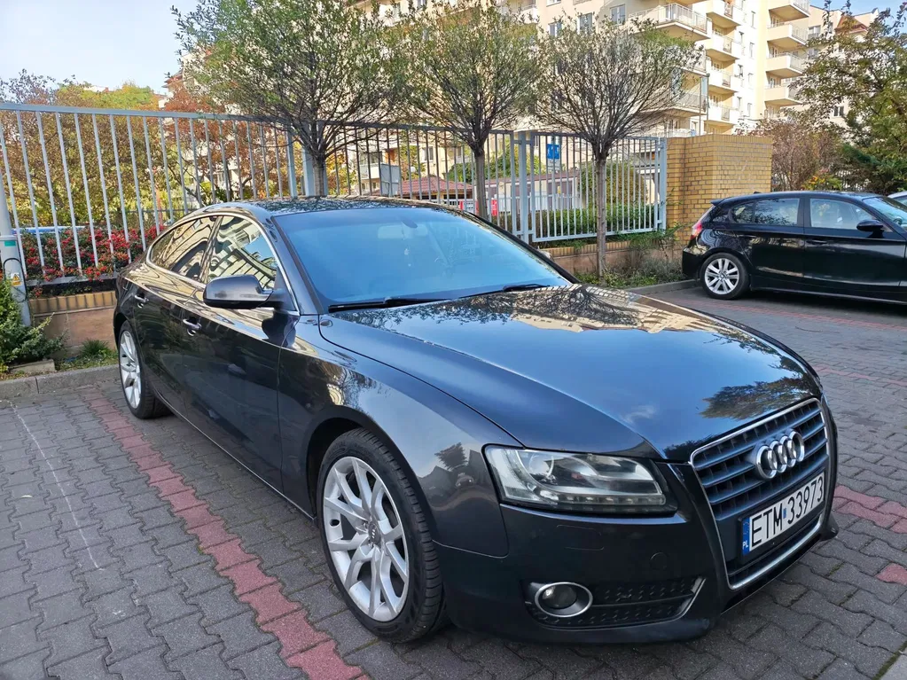 Zdjęcie: 2010 Audi A5 Sportback
