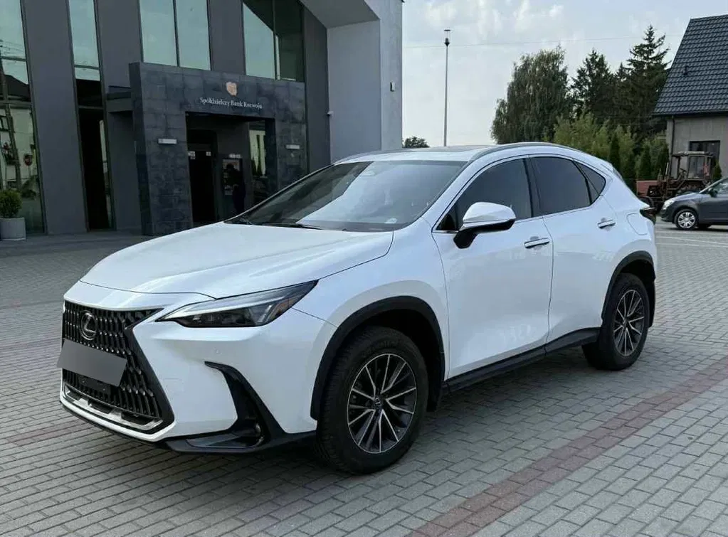 Zdjęcie: 2021 Lexus NX