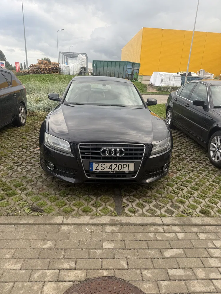 Zdjęcie: 2009 Audi A5 Sportback