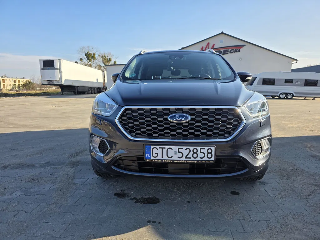 Zdjęcie: 2019 Ford Kuga