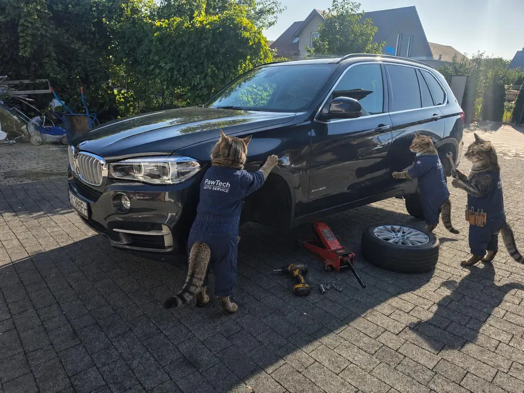 Zdjęcie: 2015 BMW X5