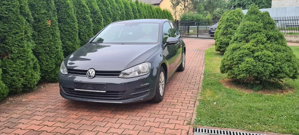 Zdjęcie: 2013 Volkswagen Golf