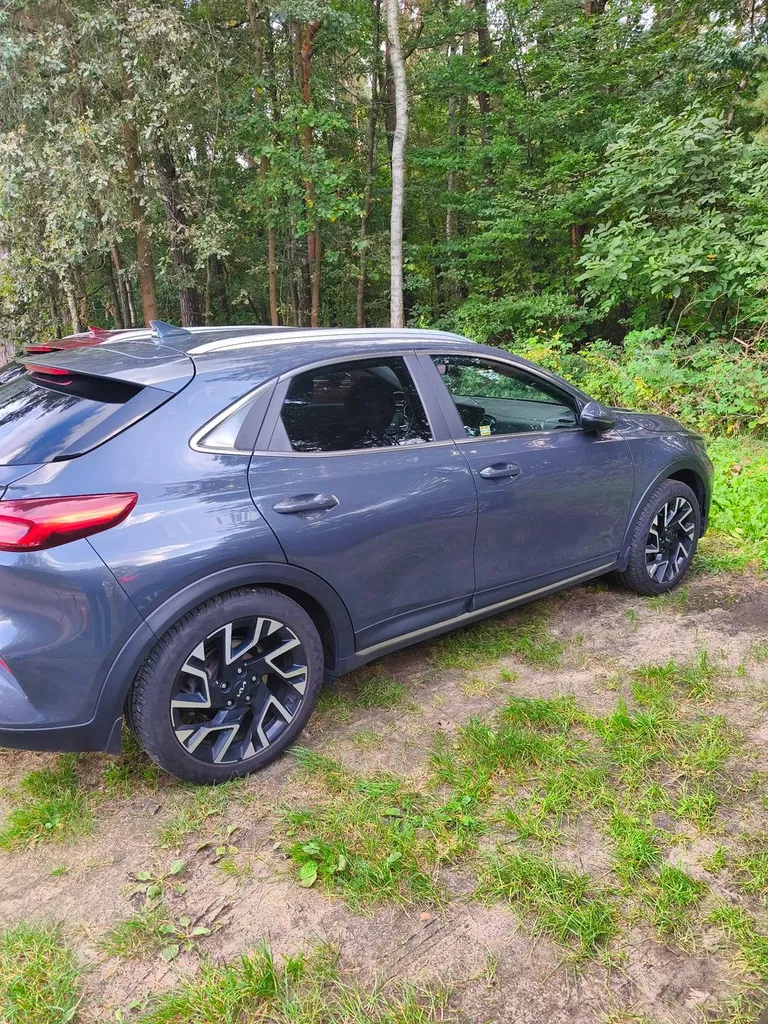 Zdjęcie: 2022 Kia XCeed