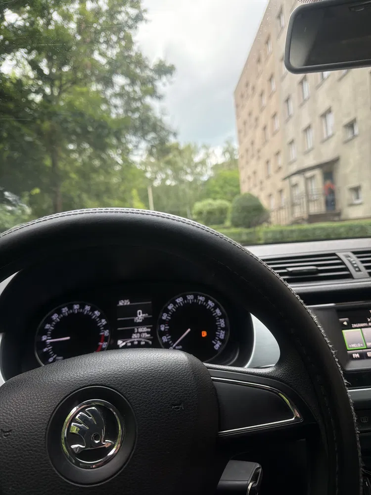 Zdjęcie: 2015 Skoda Fabia