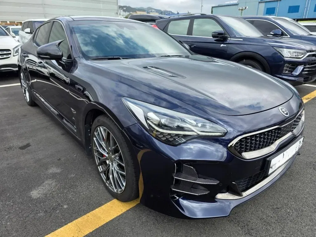 Zdjęcie: 2017 Kia Stinger