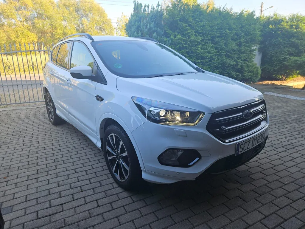 Zdjęcie: 2019 Ford Kuga