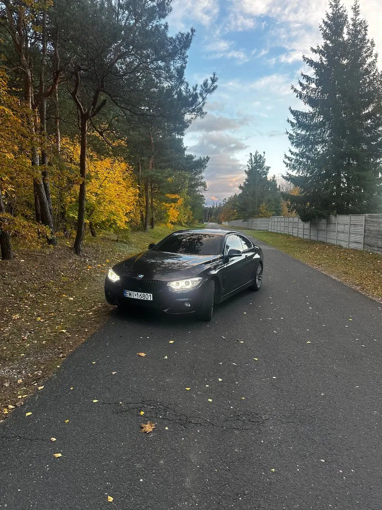 Zdjęcie: 2014 BMW Seria 4