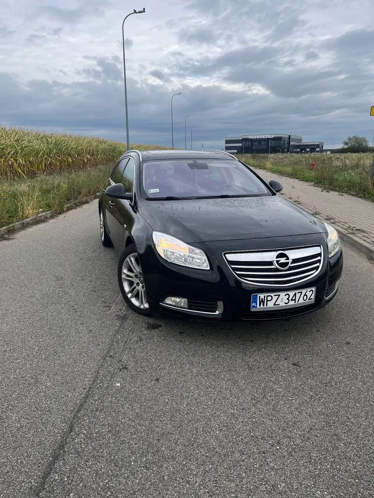 Zdjęcie: 2010 Opel Insignia