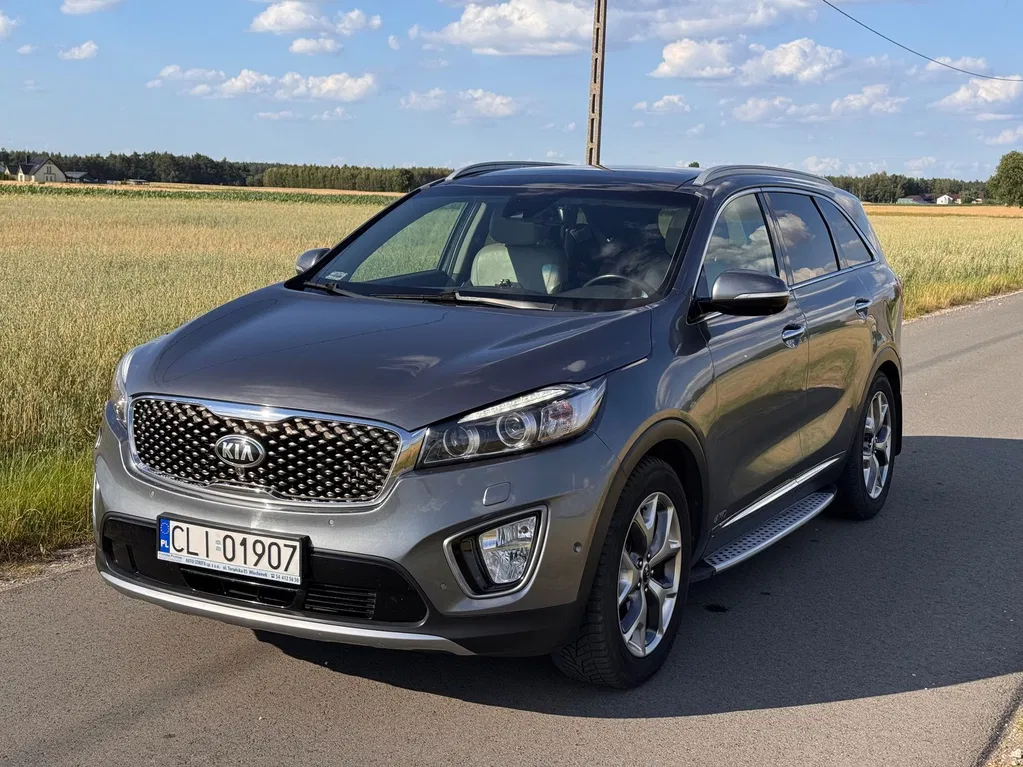 Zdjęcie: 2016 Kia Sorento