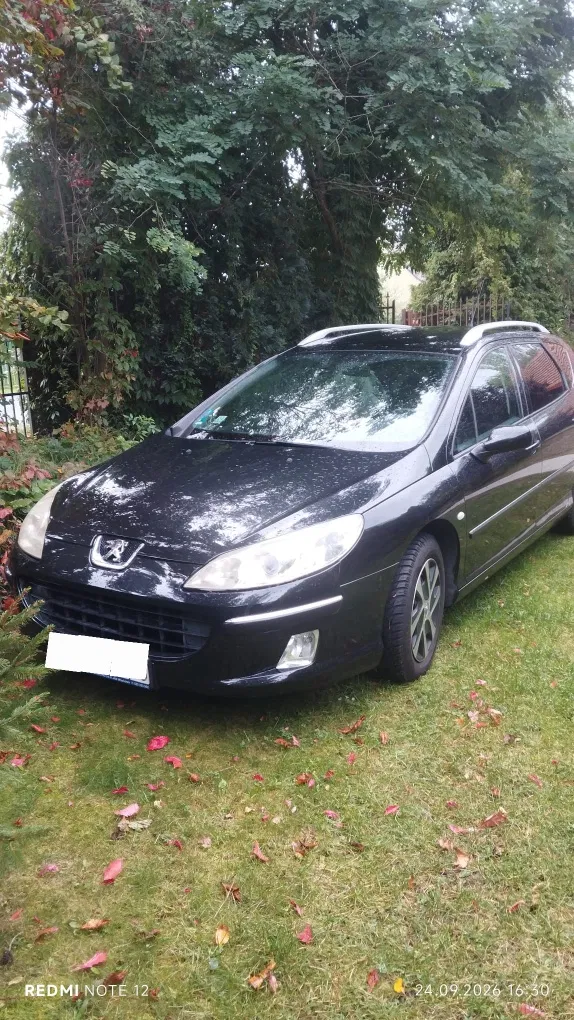Zdjęcie: 2005 Peugeot 407
