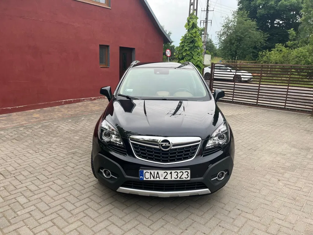 Zdjęcie: 2014 Opel Mokka