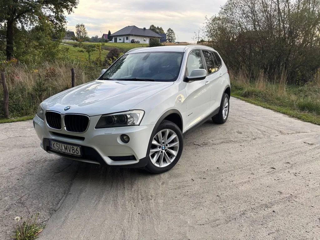 Zdjęcie: 2010 BMW X3