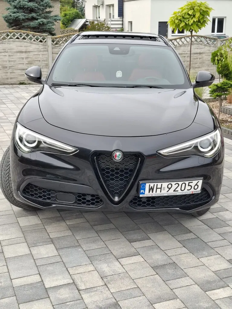 Zdjęcie: 2019 Alfa Romeo Stelvio