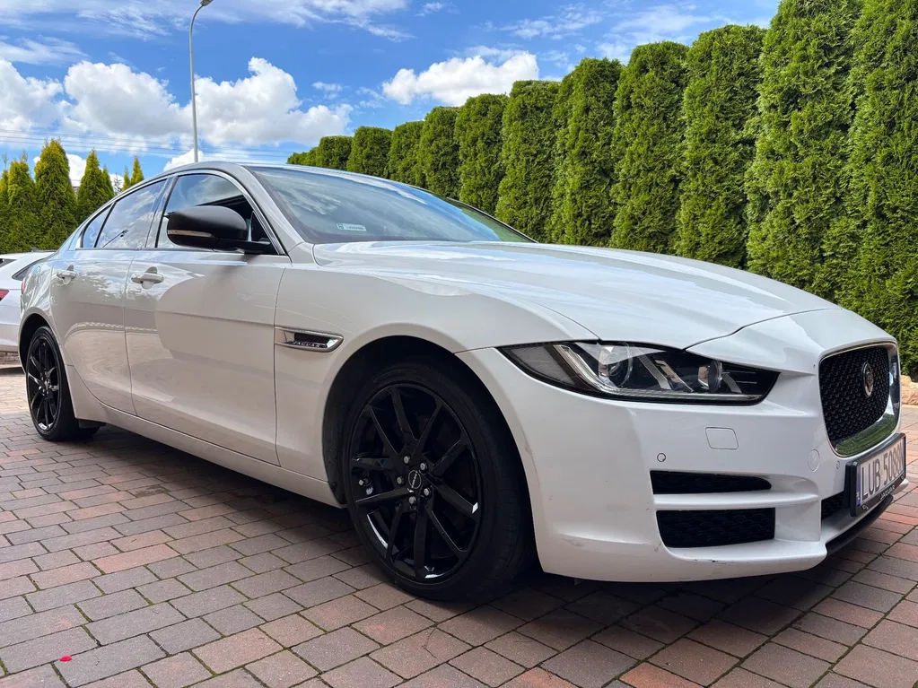Zdjęcie: 2015 Jaguar XE