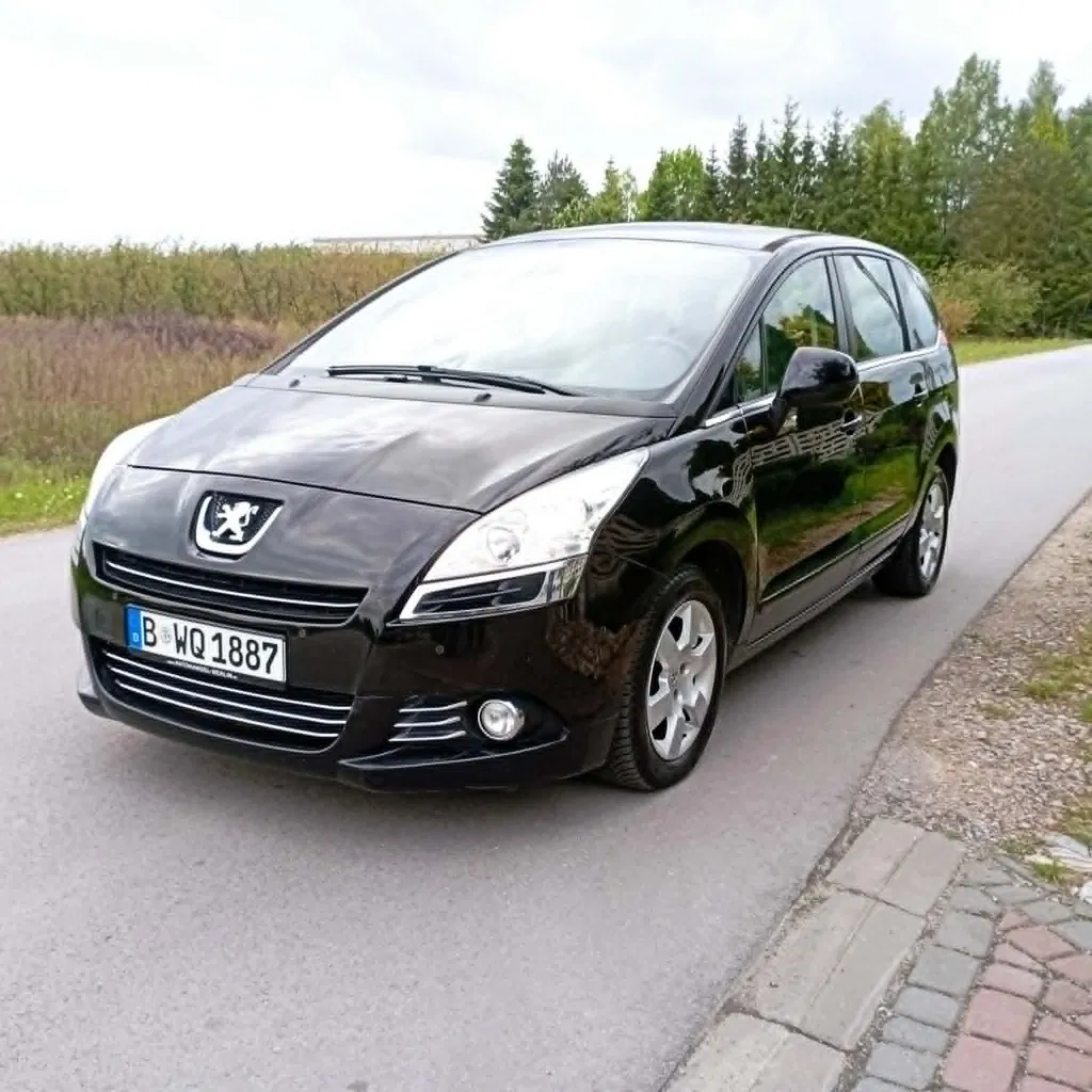 Zdjęcie: 2012 Peugeot 5008
