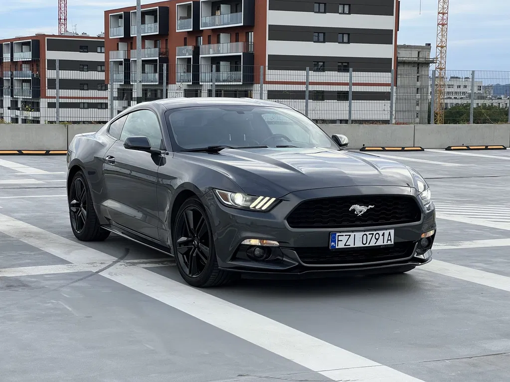 Zdjęcie: 2016 Ford Mustang