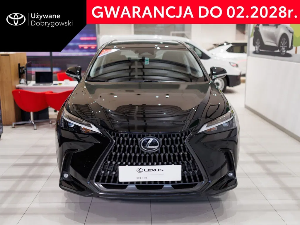 Zdjęcie: 2024 Lexus NX
