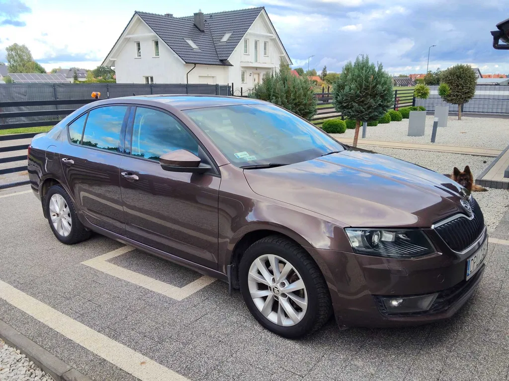 Zdjęcie: 2013 Skoda Octavia