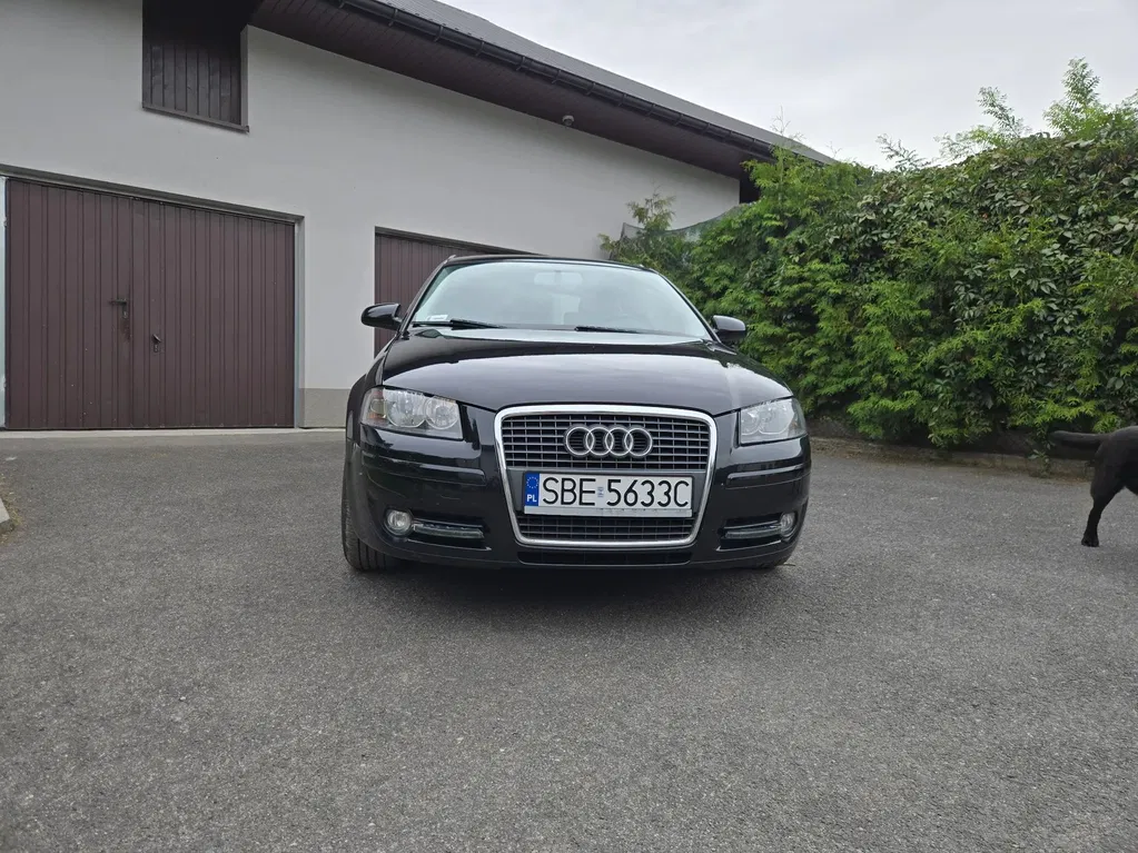 Zdjęcie: 2007 Audi A3 Sportback