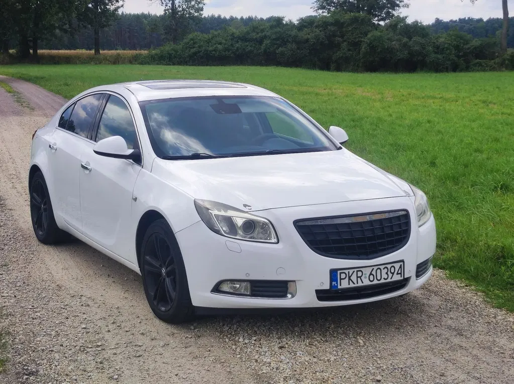 Zdjęcie: 2010 Opel Insignia