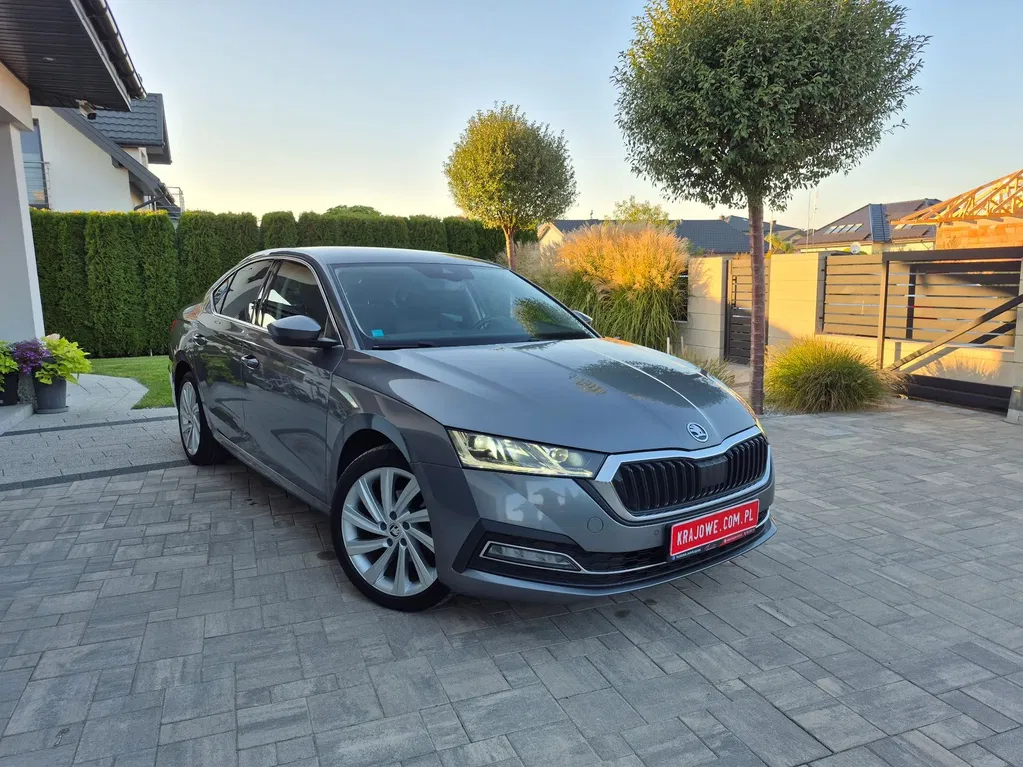 Zdjęcie: 2022 Skoda Octavia