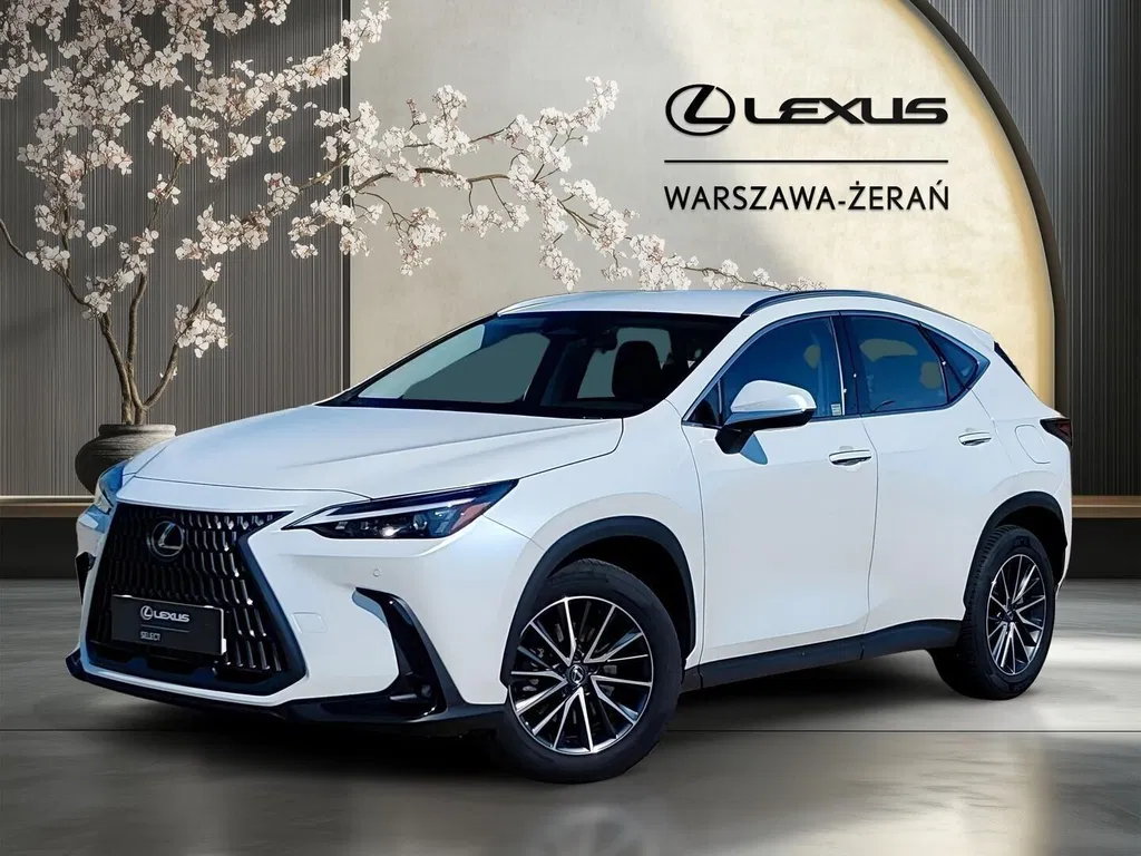 Zdjęcie: 2024 Lexus NX